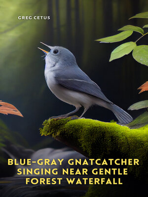 cover image of Blue-gray Gnatcatcher Singing Near Gentle Forest Waterfall
